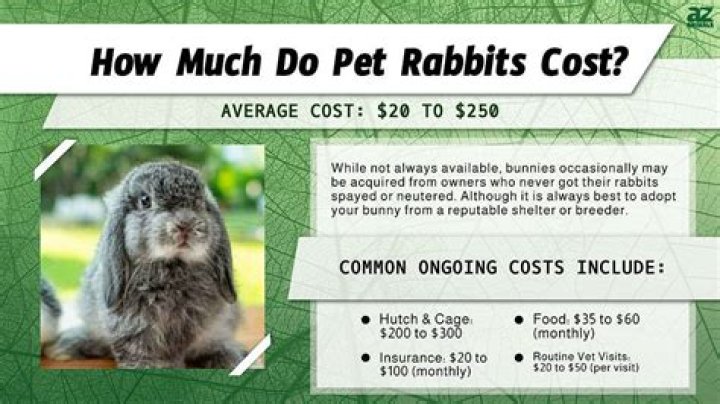 How much does rabbit cost per pound