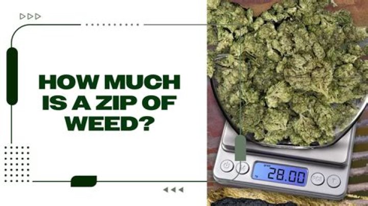How much does zip wall cost