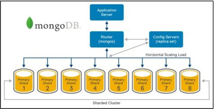 How use MongoDB with NPM?