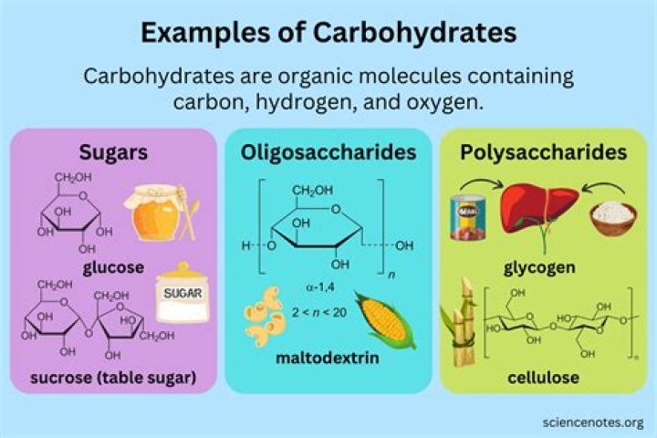 Is bamboo a carbohydrate