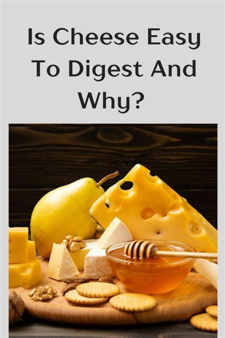 Is cheese easy to digest?