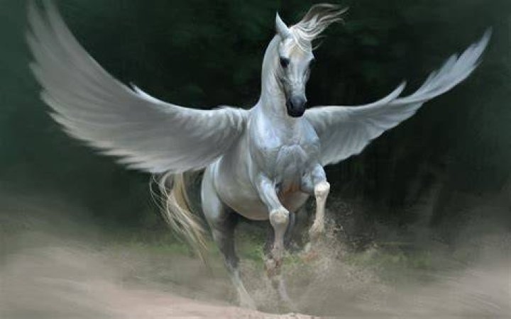 Is chollima a Pegasus?
