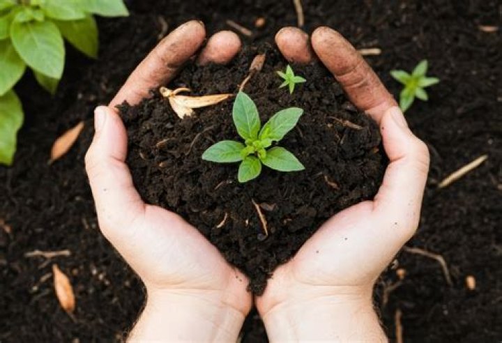 Is compost the same as soil