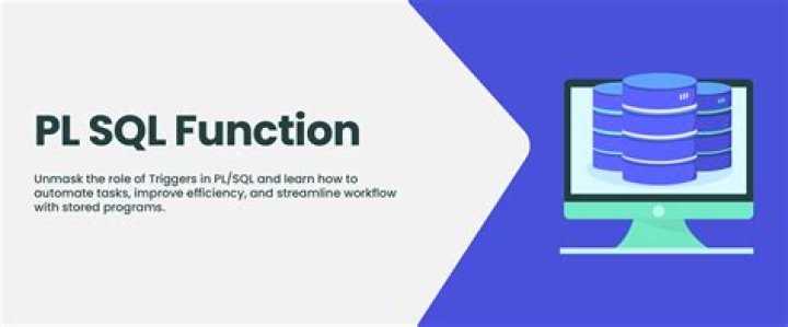 Is keyword in PL SQL
