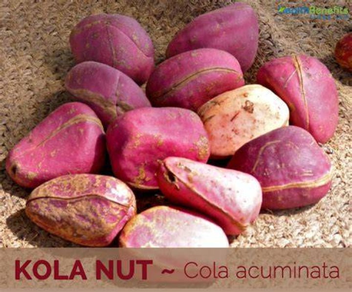 Is kola nut a tree nut