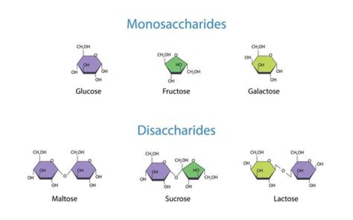 Is monosaccharide a simple carbohydrate