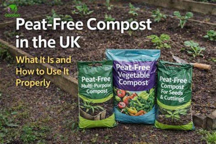 Is peat free compost good