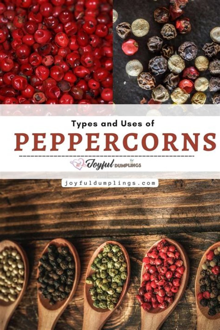 Is pepper considered a spice?