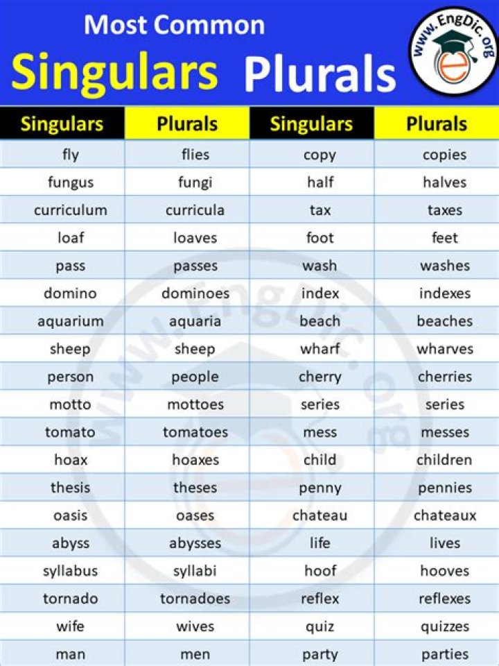 Is plaintiff plural or singular?