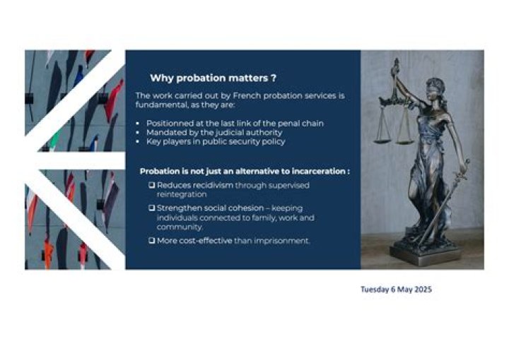 Is probation an alternative sanction