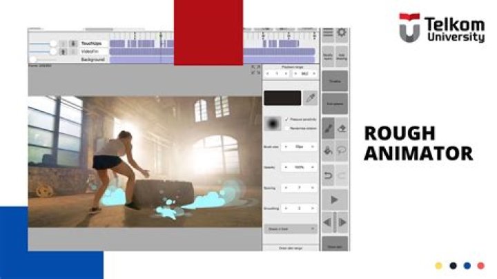 Is Rough animator on PC?