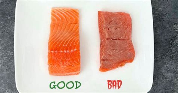Is Silverbrite salmon good