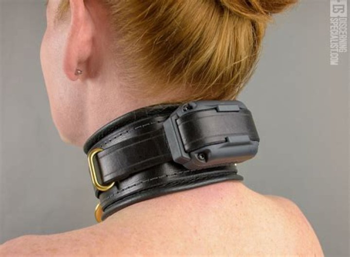 Is the E collar a shock collar