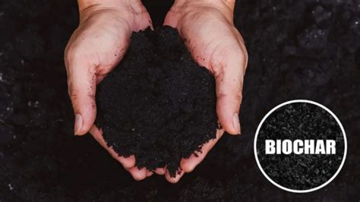 Is there a difference between charcoal and biochar