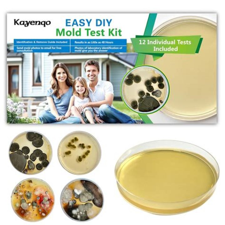Is there a test kit for bed bugs