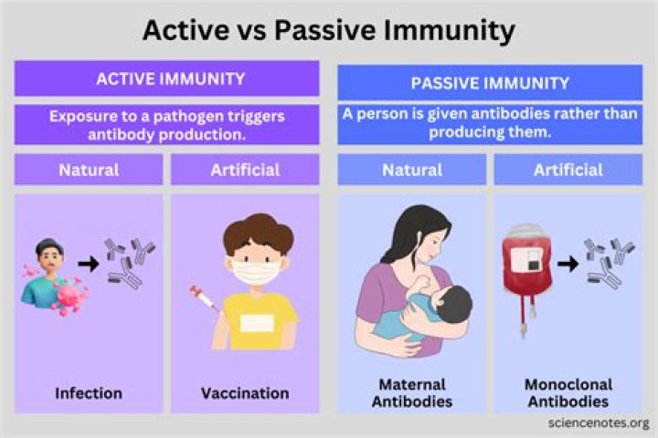 Is vaccination active immunity or passive