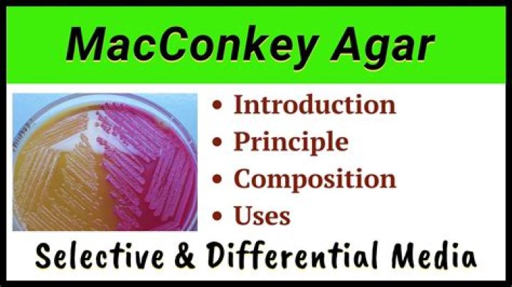 Is XLD agar selective or differential