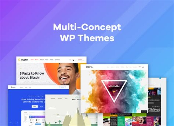 Secret wordpress theme features