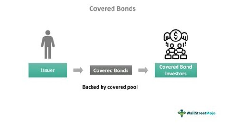 What are covered bonds example?