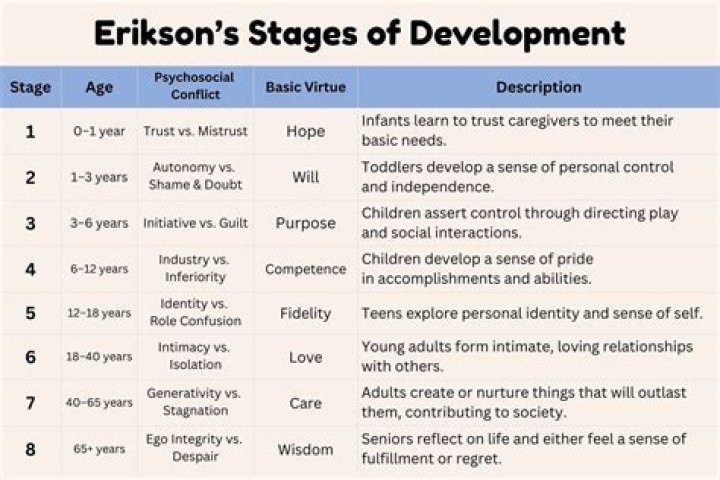What are Eriksons developmental tasks