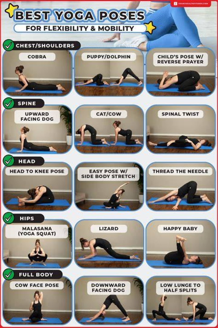 What are some good basic flexibility exercises for the major muscle groups
