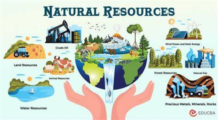 What are some valuable resources