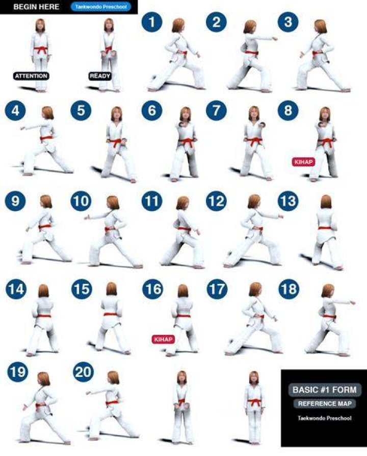 What are the 8 basic forms in taekwondo?
