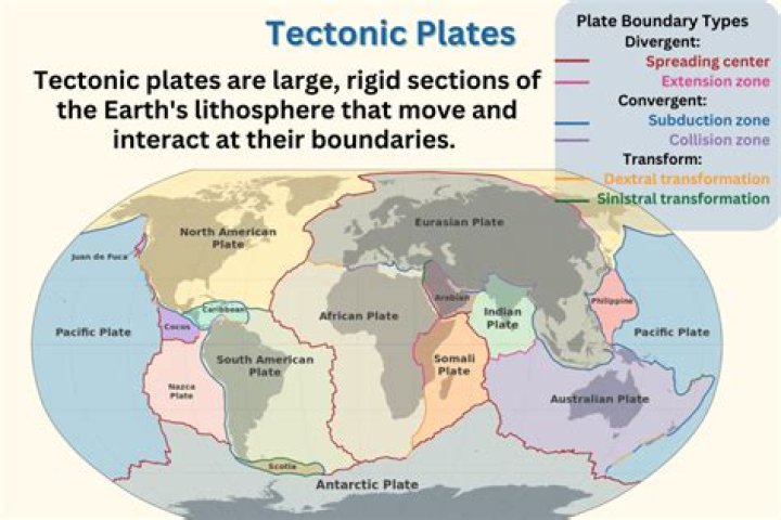 What are the two plates