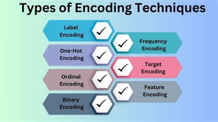 What are various types of state encoding techniques?