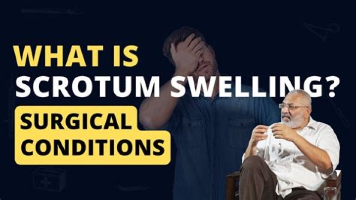 What are your scrotums?