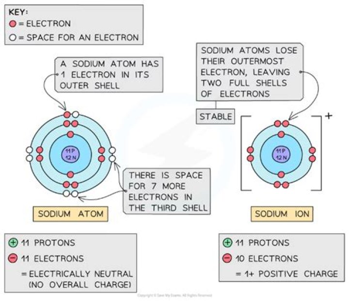 What atoms lose two electrons when they react?