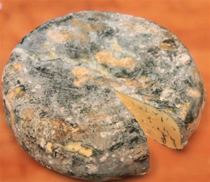 What bacteria does cheese have?