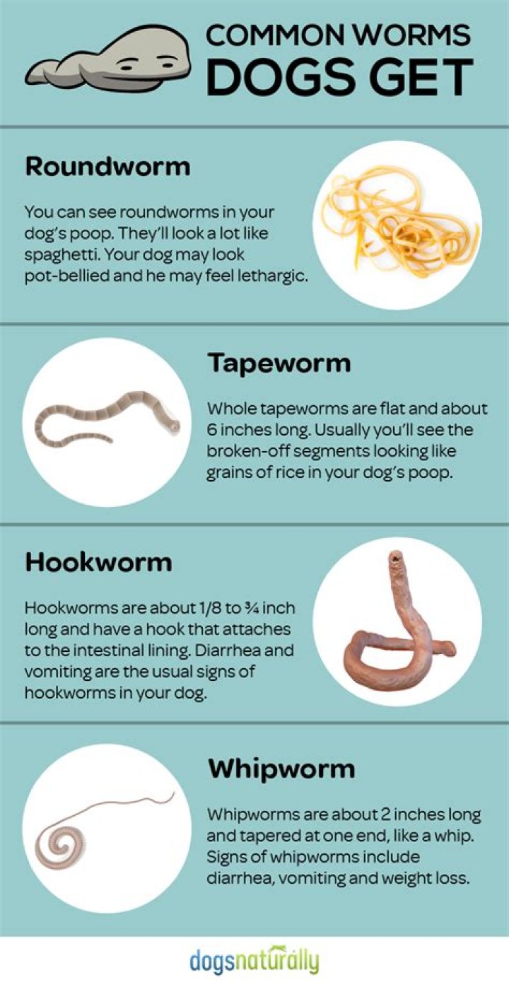 What can kill flatworms?