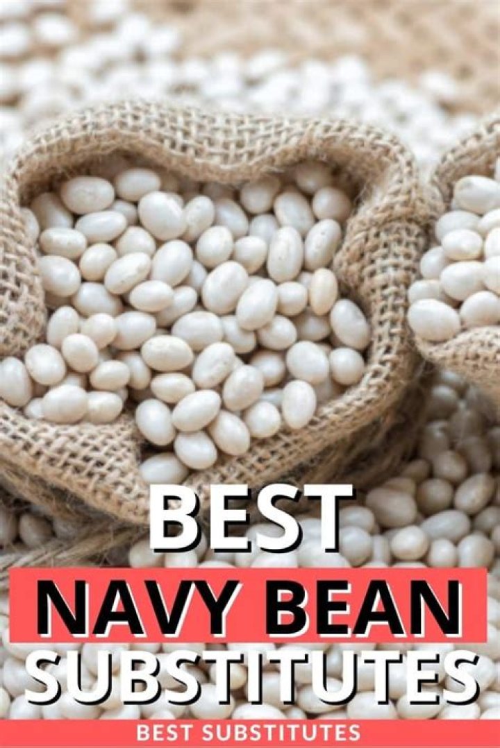 What can replace navy beans?