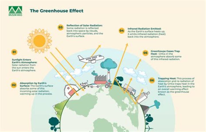 What causes climate change Wiki