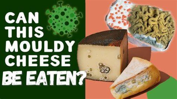 What causes moldy cheese?