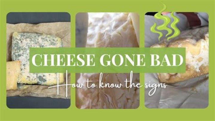 What cheese smells really bad?