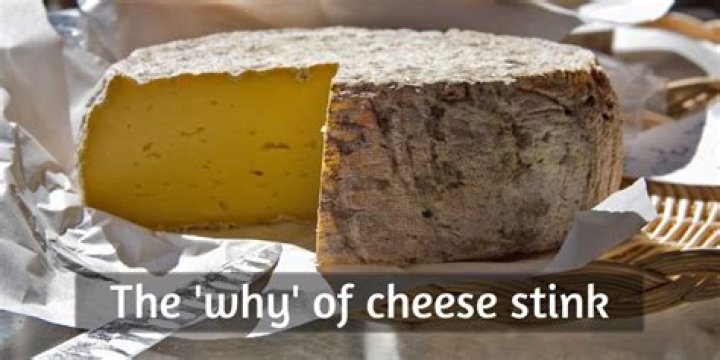 What cheese stinks really bad?