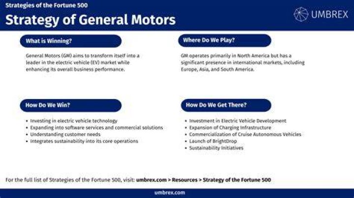 What competitive strategy does General Motors use
