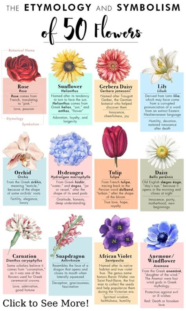What do flowers symbolize?