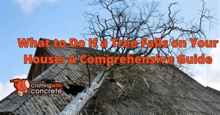 What do you yell when a tree falls