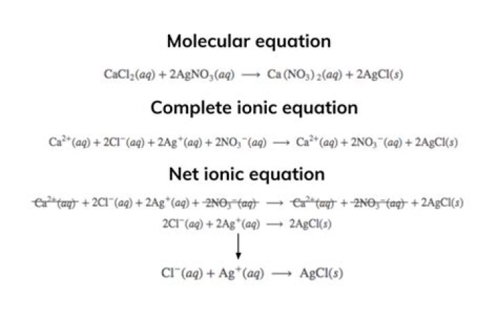 What does a net ionic equation represent how is it different than a molecular equation