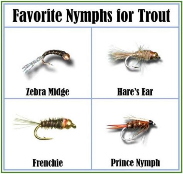 What does a zebra midge imitate