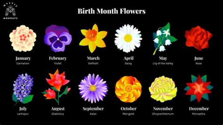 What does birth month mean?