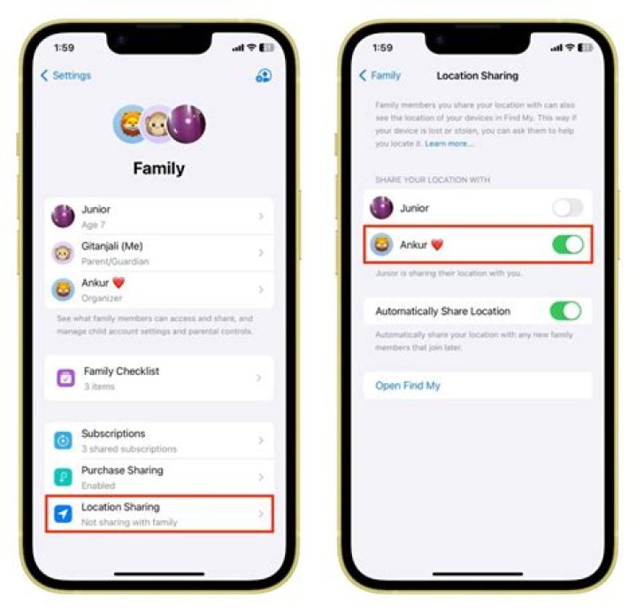 What does Family Sharing do on iPhone?