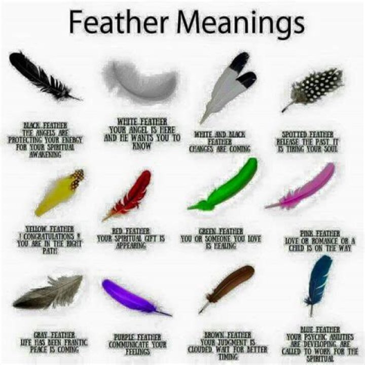 What does feather clarity mean