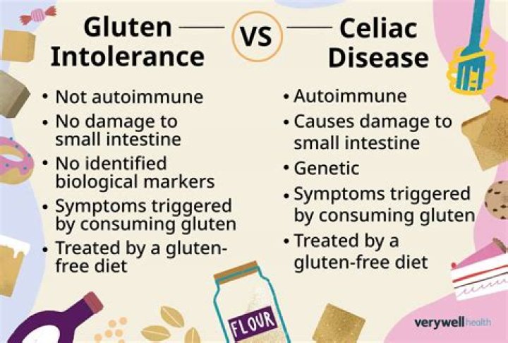 What does gluten do in flour?