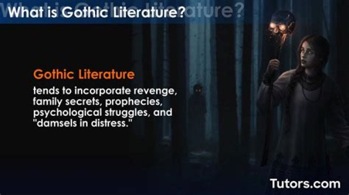 What does Gothic literature teach?