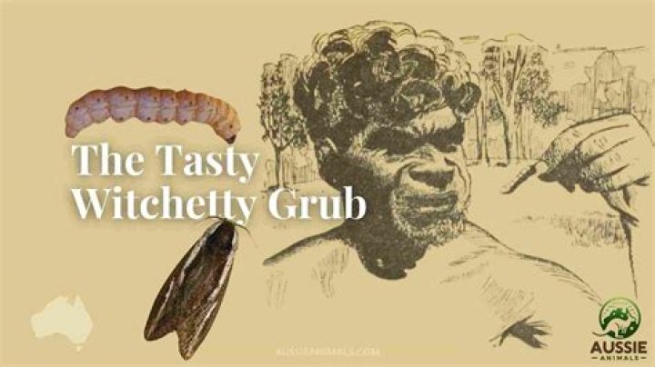What does grub taste like