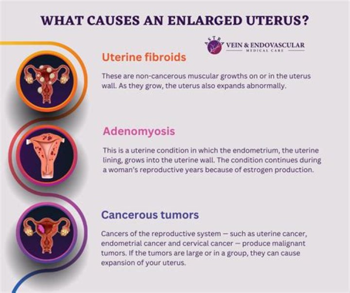 What does having 2 uterus mean
